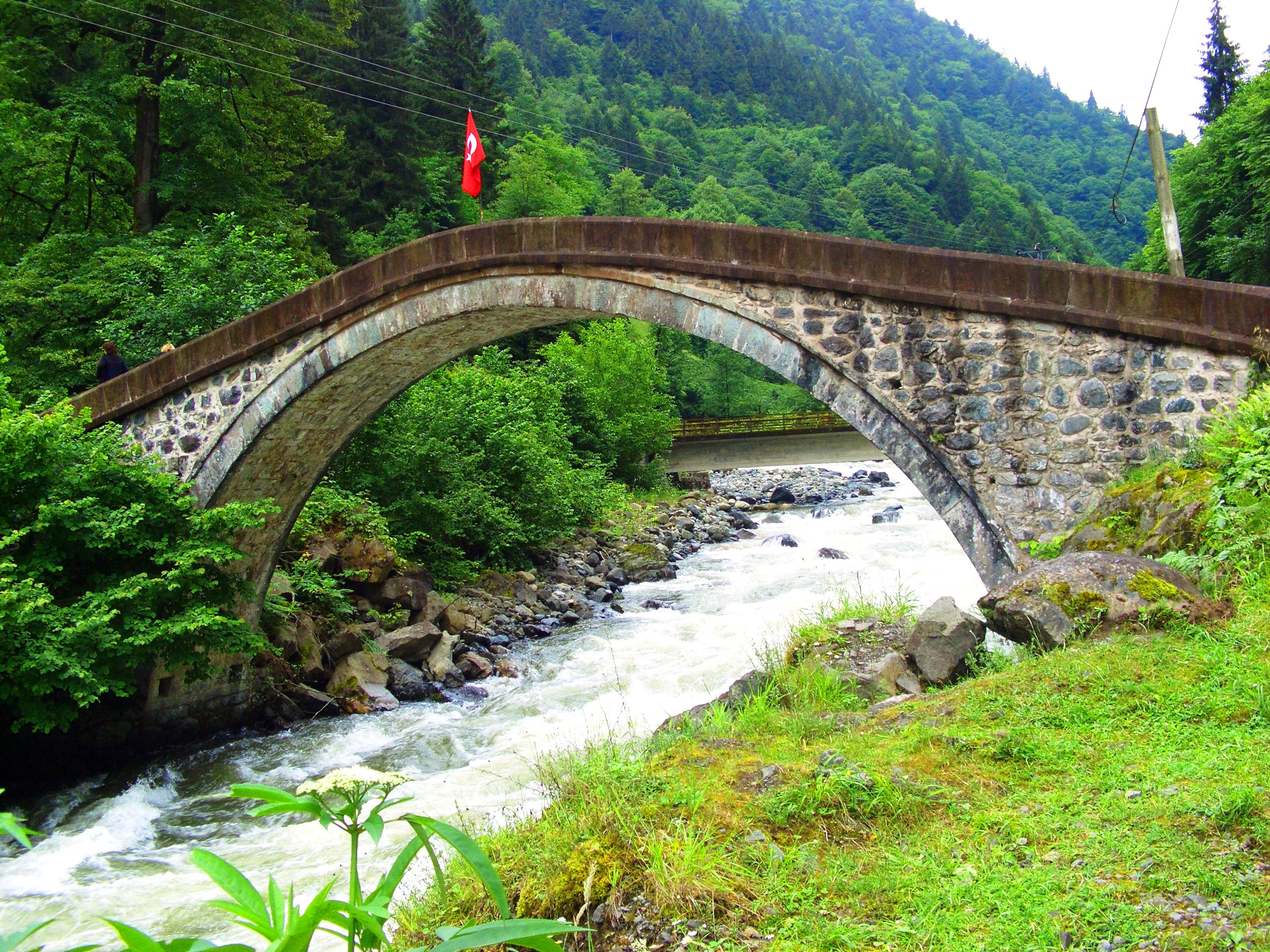 Orman ve patika — Taşmektep Otel